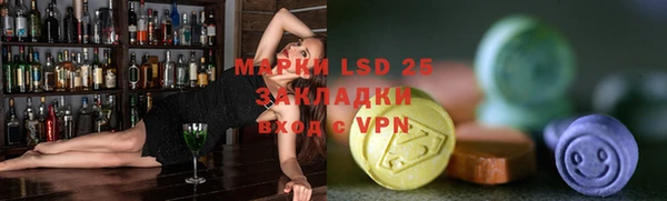 амф Аркадак
