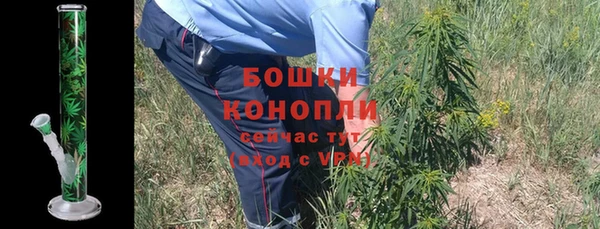 амф Аркадак