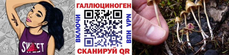 Псилоцибиновые грибы мухоморы  Усолье 